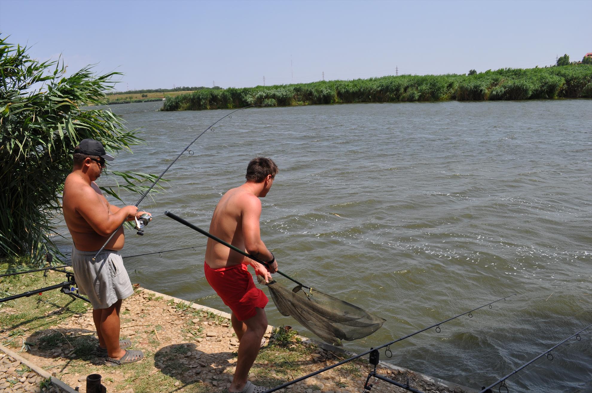 Tancabesti - dsc0124.JPG